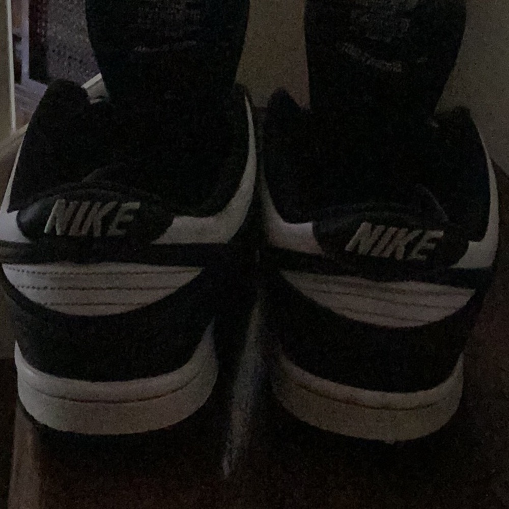 Panda dunks low - Picture 2 of 5